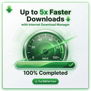 IDM官网 - IDM DNS污染防护